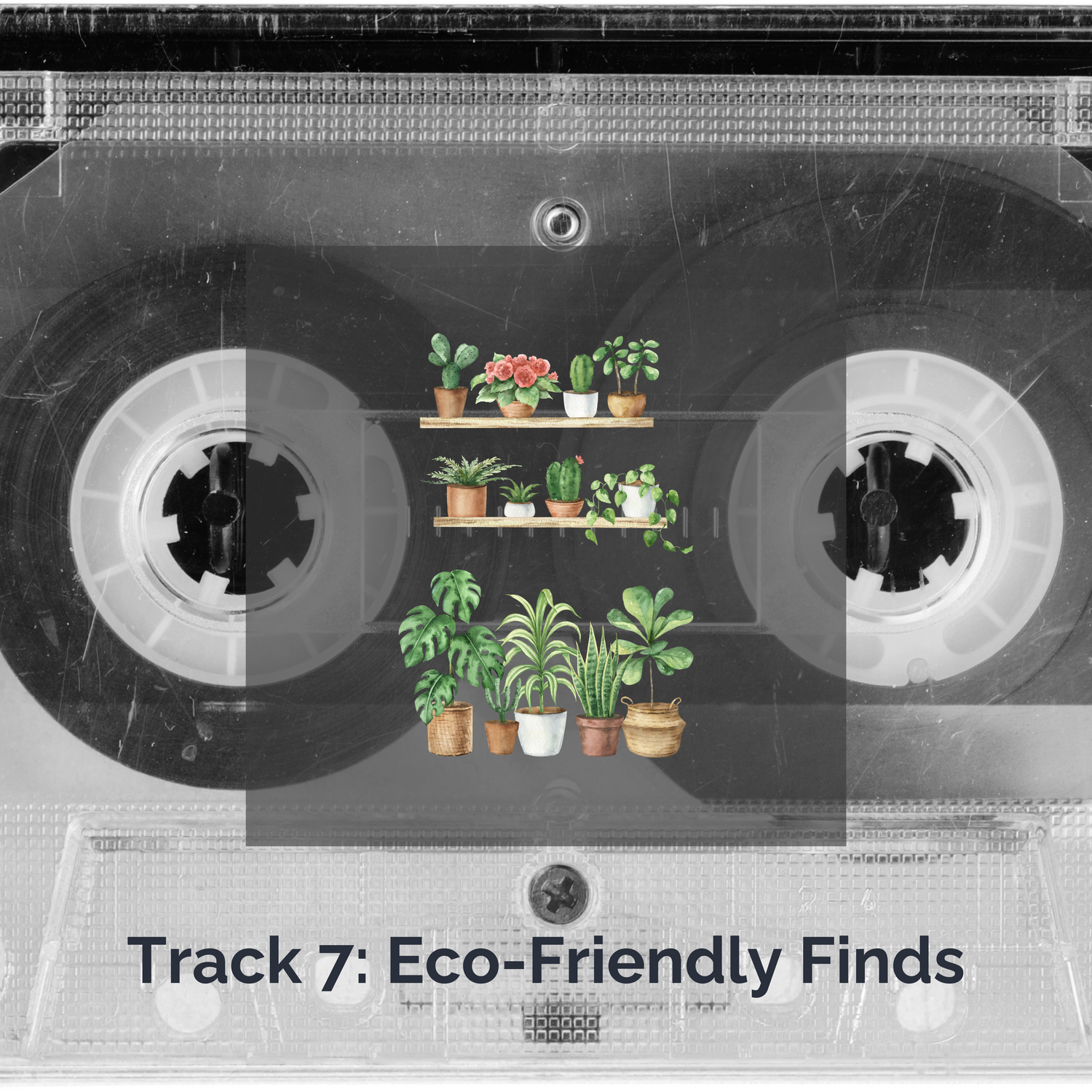 Track 7: Eco-Friendly Finds